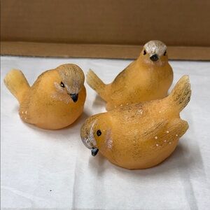 ⭐️Candle Impressions" mini flameless bird luminaries